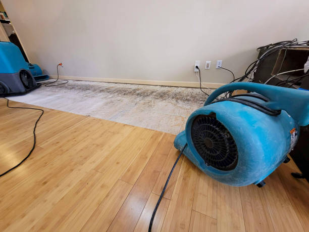 Professional Emergency Water Damage technician working in Dodge, WI